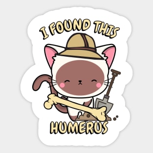 Funny cat is an archaeologist Sticker